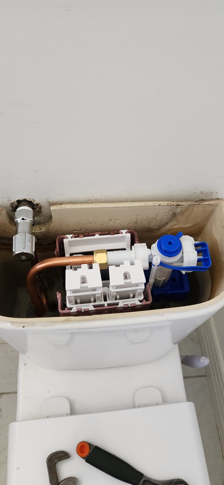 Toilet Repair